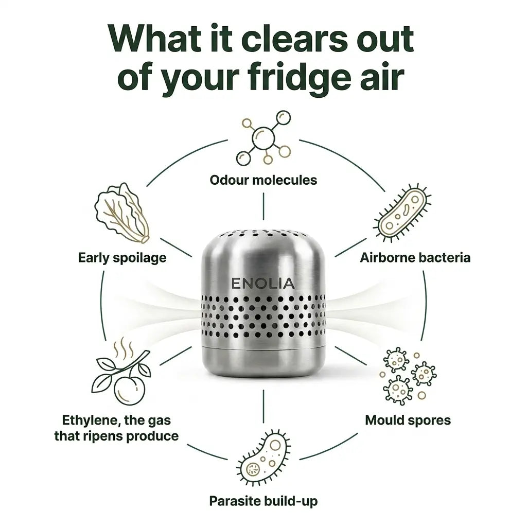 Enolia™ Fridge Purifier