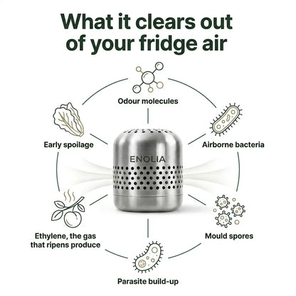 Enolia™ Fridge Purifier