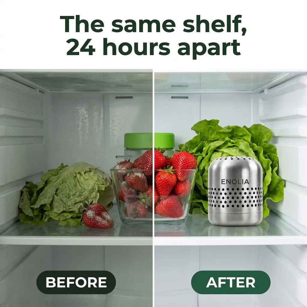 Enolia™ Fridge Purifier